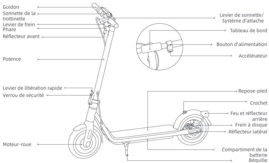 NAVEE V40 - Présentation du produit - 1