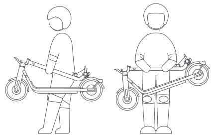 NAVEE V40 - Transporter - 1