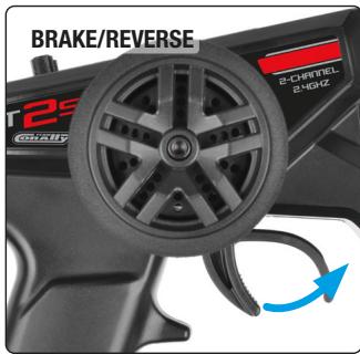 Corally CT25 - MOVE YOUR MODEL - 3