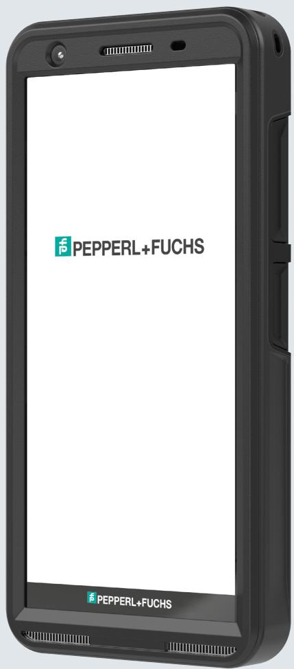 Pepperl+Fuchs Smart-Ex® 03 DZ2 - 1