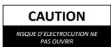 Home Audio P18BT - RECYCLAGE DES PRODUITS ÉLECTRIQUES - 9