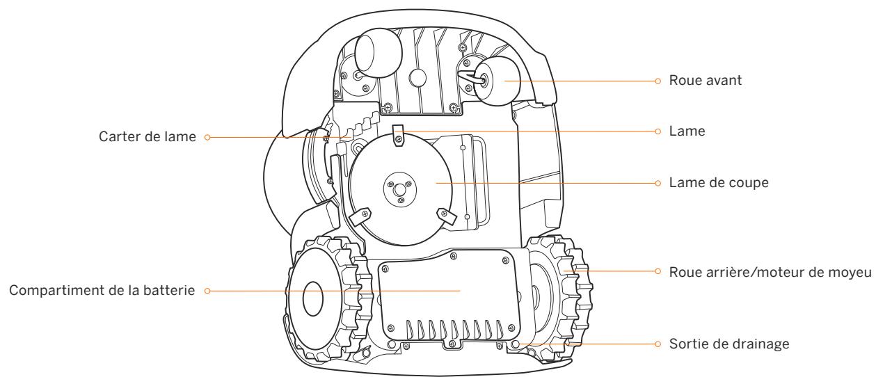 SEGWAY Navimow - Opérations de base - 1