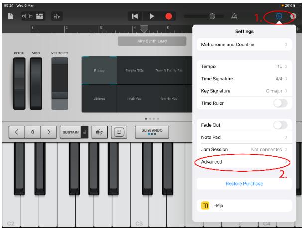 RockJam RJMK25 - Esempio: configurazione del controller MIDI con Garageband: - 1