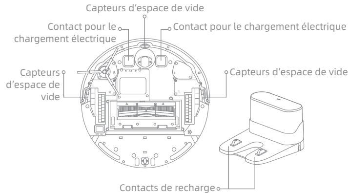 DREAME R2380C - Nettoyez les capteurs - 2