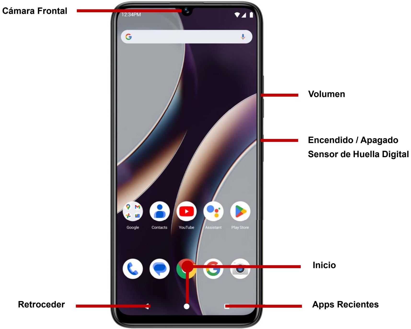 Cámara Frontal 12:34PM Volumen Encendido / Apagado Sensor de Huella Digital Google Contacts YouTube Assistant Play Store Inicio Retroceder Apps Recientes