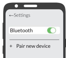Walker's Disrupter - 2 - 1