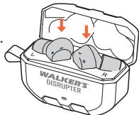 Walker's Disrupter - 1