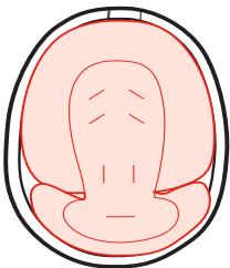 GRACO NWL0001526829C - Body support • Support corporel • Soporte para el cuerpo - 2