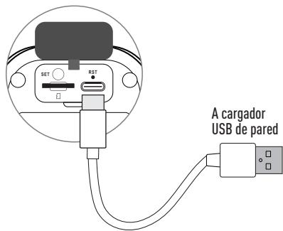 SWANN SwannBuddy™ 4K - Cóme cargar el SwannBuddy - 1