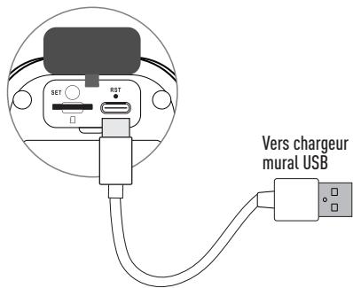 SWANN SwannBuddy™ 4K - Charger le SwannBuddy - 1
