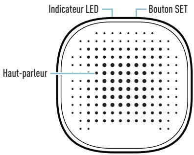 SWANN SwannBuddy™ 4K - APERÇU DU CARILLON - 1