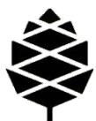 Pine64 PineTab-V - Documentation and contact information - 1
