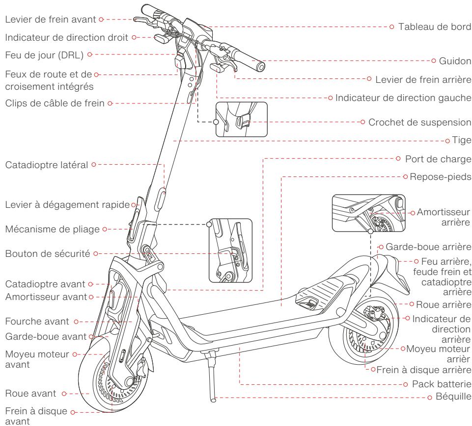 SEGWAY ST - Scheme et fonctions - 1