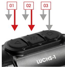 LIEMKE LUCHS–1 - Modo Basics - 1