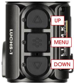 LIEMKE LUCHS–1 - Tastenfeld - 1