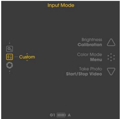 LIEMKE LUCHS–1 - Custom Mode button configuration - 1