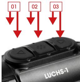 LIEMKE LUCHS–1 - Standardmodus - 1