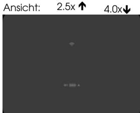 LIEMKE LUCHS–1 - Standardanzeige - 2