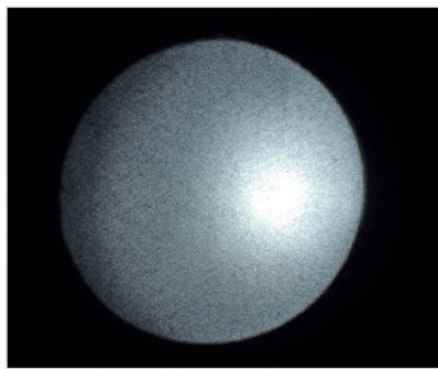 Cameo CLOTOSH5 - WARNING: - 4