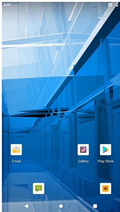 Winmate E500RM9 - To update OTA: - 6