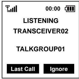 ICOM IC-SAT100 - Receiving - 1