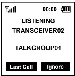 ICOM IC-SAT100 - Empfangen - 1