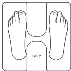 eufy Smart Scale C1 - Démarrer une mesure - 2