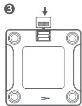 eufy Smart Scale C1 - Insertion des piles - 2