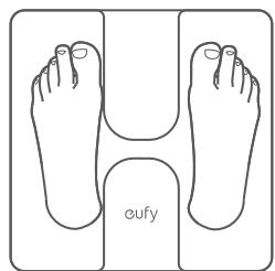 eufy Smart Scale C1 - Starting a Measurement - 2