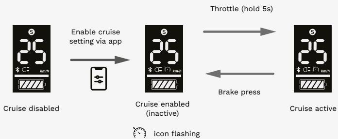 PURE Advance LS3610 - Cruise control - 1