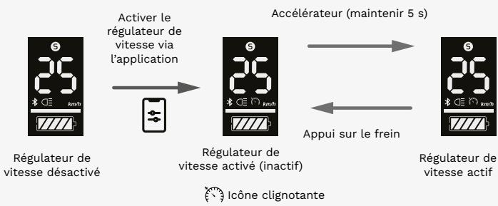 PURE Advance+ LS3612 - Régulateur de vitesse - 1