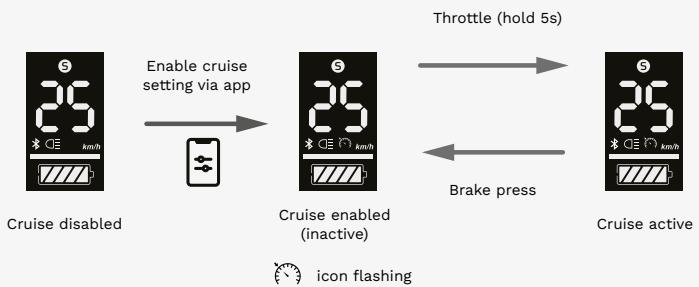 PURE Advance+ LS3612 - Cruise control - 1