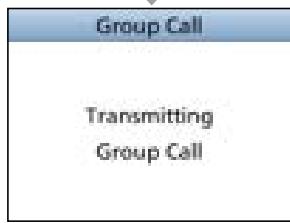 ICOM IC-M510E - Sending a Group call - 4