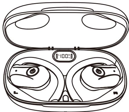 SIVGA SIVGA SO1 - Charging for earphone - 1