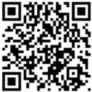 GEMINI GPP-101 - FUNCIONES - 3