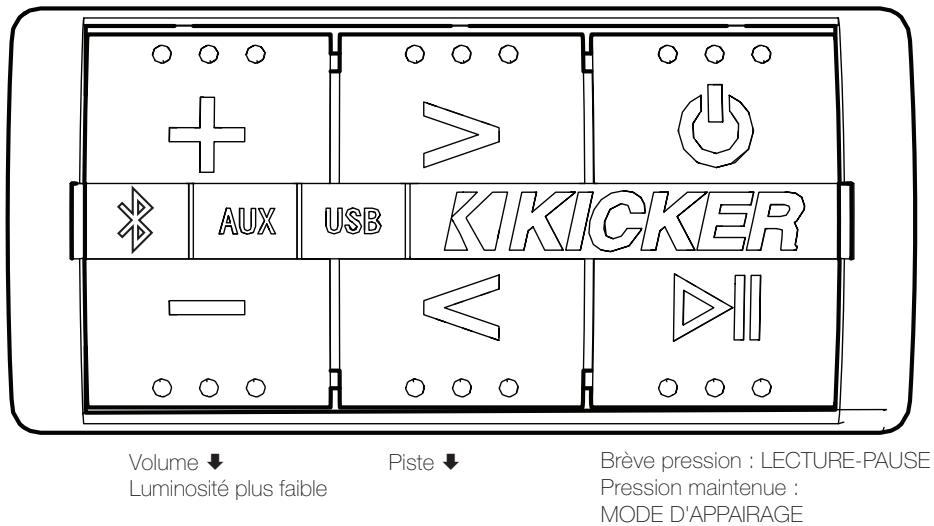 KICKER PXIBT100.2 - Voyants à DEL d'été d'entrée : - 1