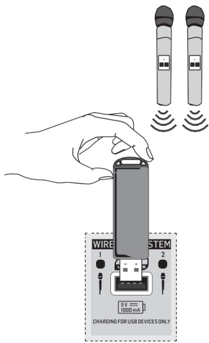 BEHRINGER MPA100BT - Recharger la batterie - 2