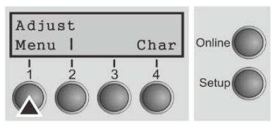 Tally Dascom PRN-7 - Selecting the LC display language - 2