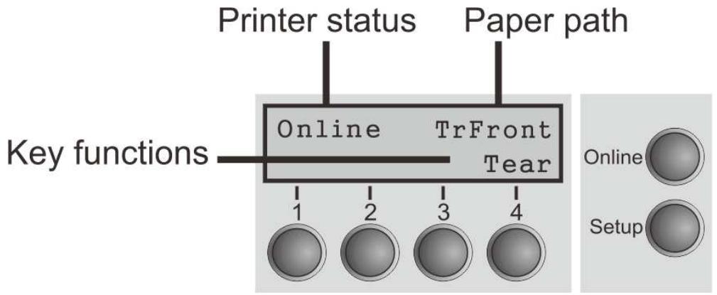 Tally Dascom PRN-7 - The LC display - 1