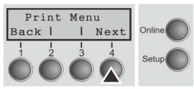 Tally Dascom PRN-7 - Selecting the LC display language - 3