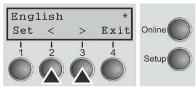 Tally Dascom PRN-7 - Selecting the LC display language - 6