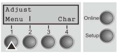 Tally Dascom PRN-7 - Calling up the menu - 1