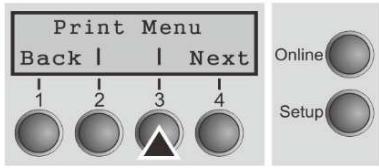 Tally Dascom PRN-7 - Menu configurations - 3
