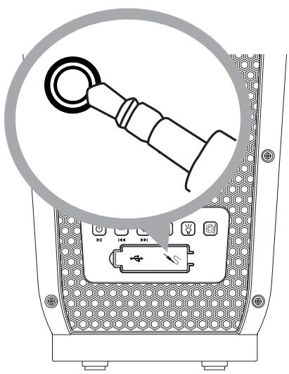 Acoustic Research AWS11 - Uso de la entrada auxiliar - 1