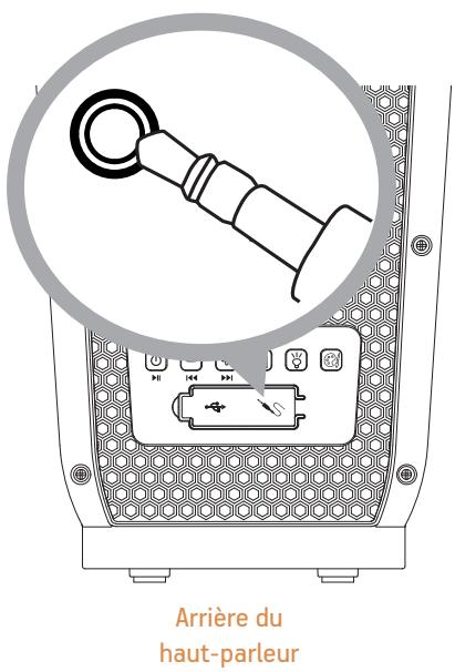 Acoustic Research AWS11 - Utilisation de l'entrée auxiliaire - 1