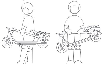 NAVEE V40 Pro - Transporter - 1