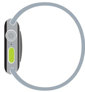 APPLE Apple Watch - Disposal and Recycling Information - 3