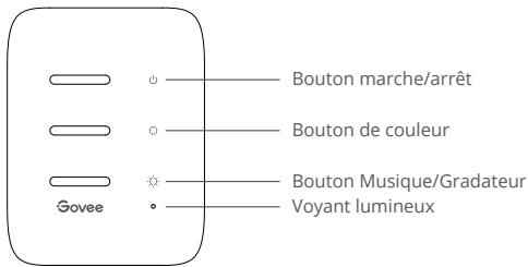 Govee H6098 - Présentation rapide du produit - 1