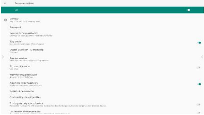 PHILIPS 86BDL4152E - Developer options - 1