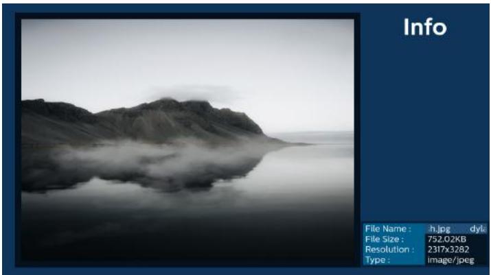 PHILIPS 86BDL4152E - Media Player introduction: - 10